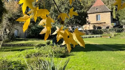 LES OCELLES DE SARLAT 1