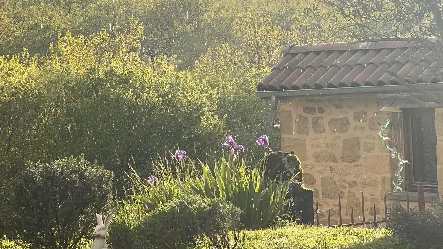 Blue Horizons Farm