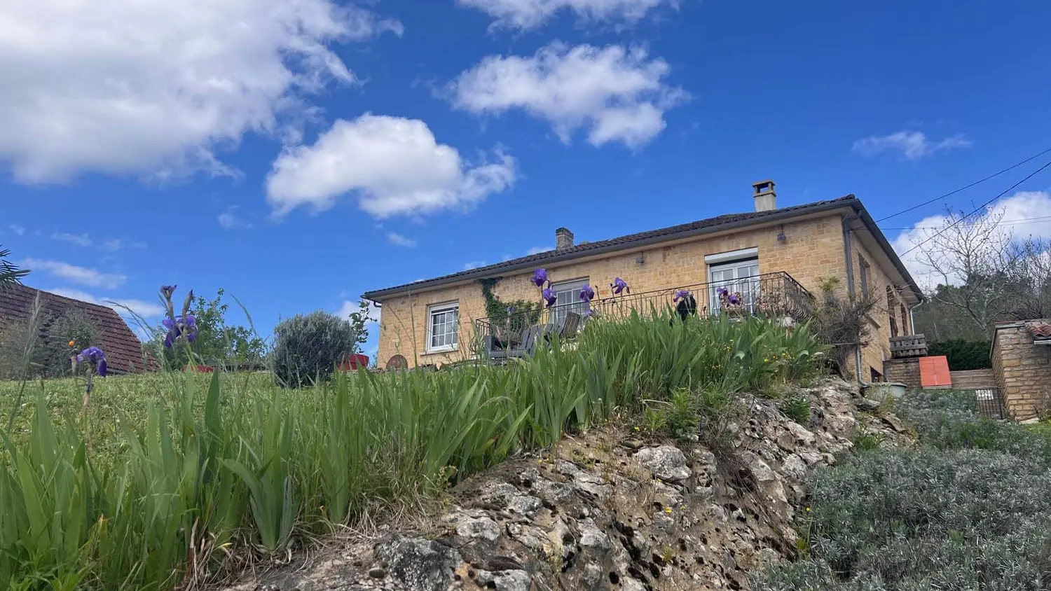 Blue Horizons Farm