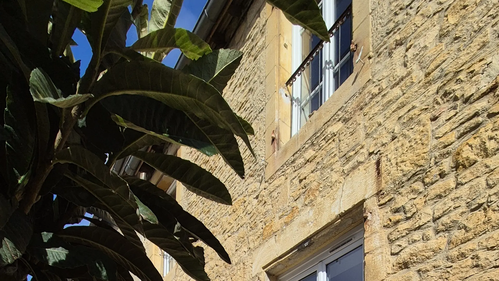jardins de salvador a sarlat - terrasse