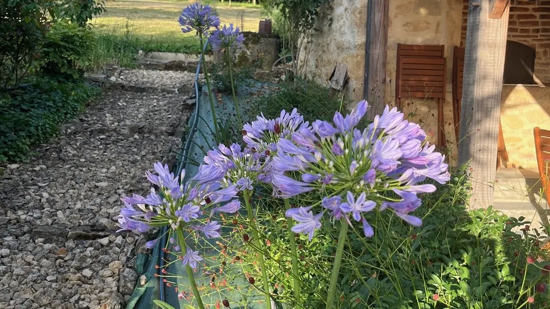 le petit parapdis à sarlat