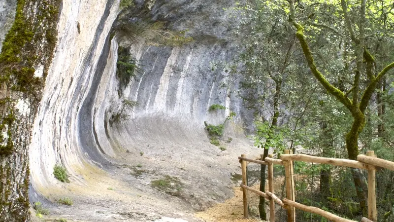 les eyzies_abri cro magnon_parcours-boisé