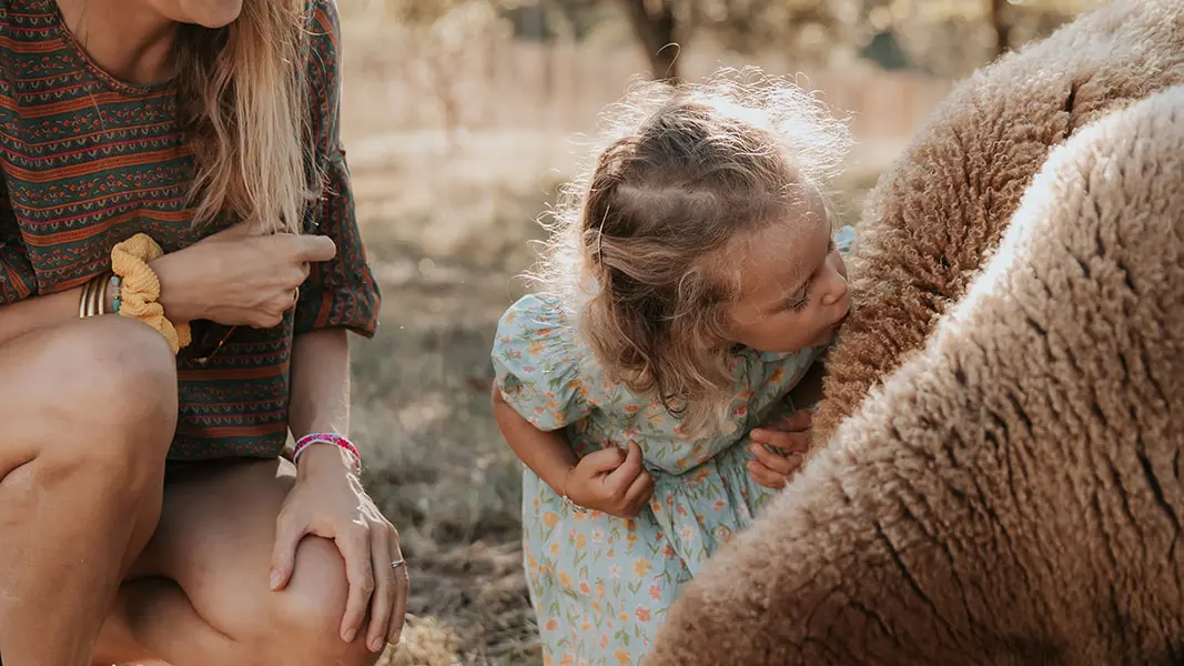 12. Les activités animaux