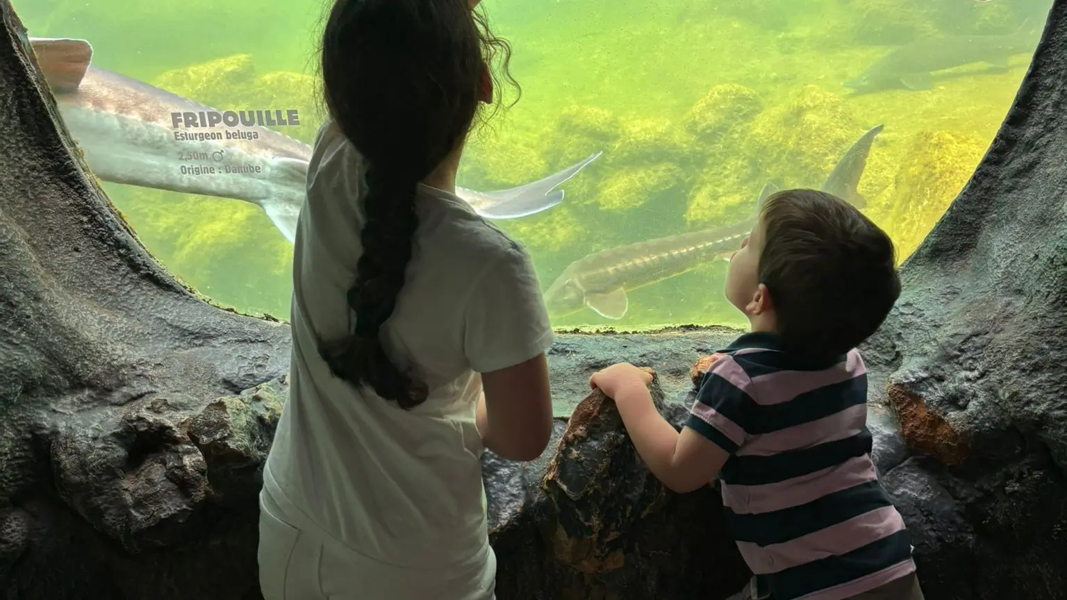 4. Plus grand Aquarium d'Europe