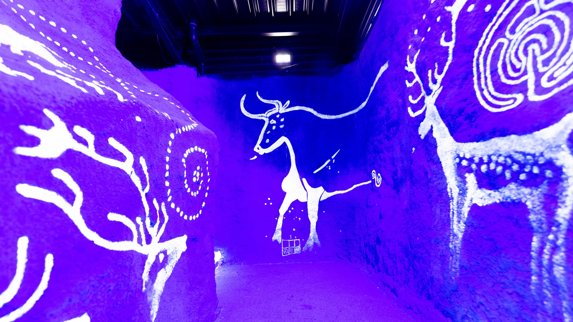 5.2022-08-23_APN_210