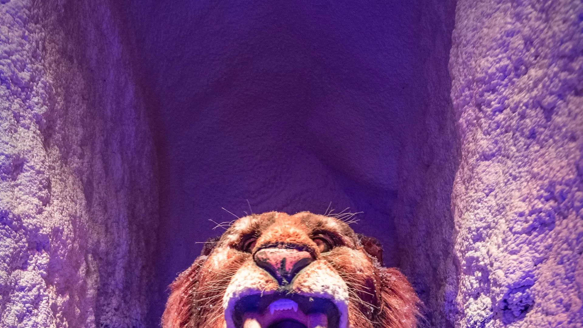 6.2022-08-23_APN_205