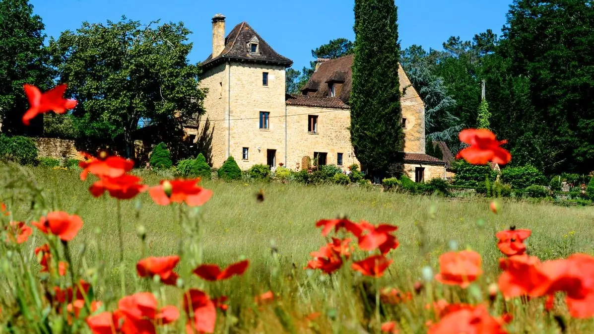 LES FLEURS DE LA FEUILLADE