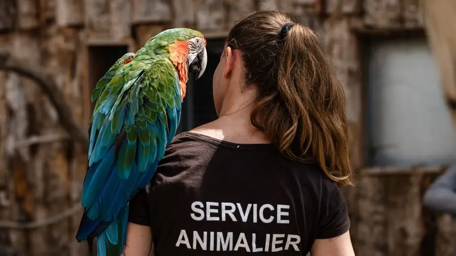 Animation pédagogique La Tanière zoo refuge ©Edouard Pacreau