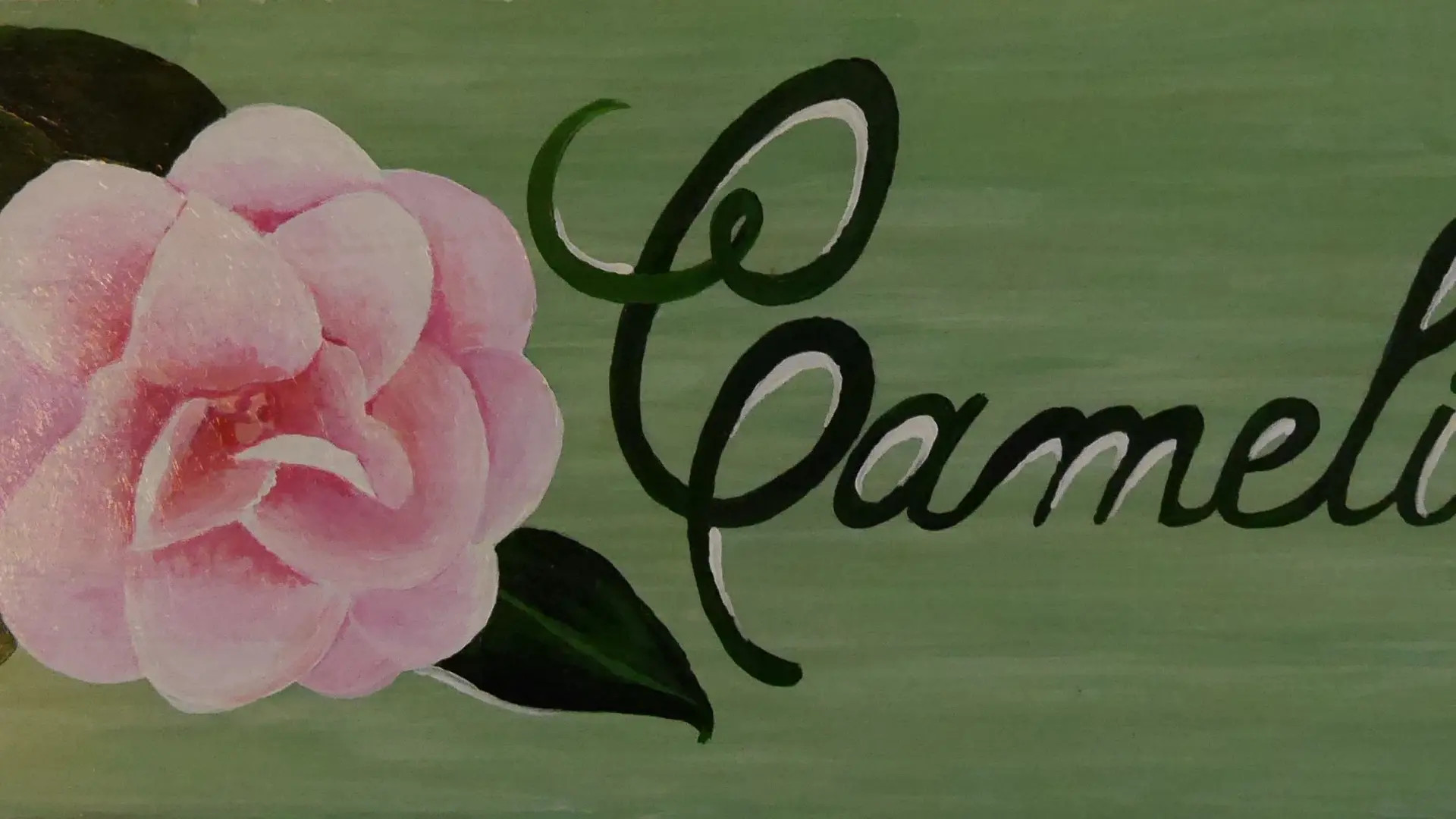 Camélia