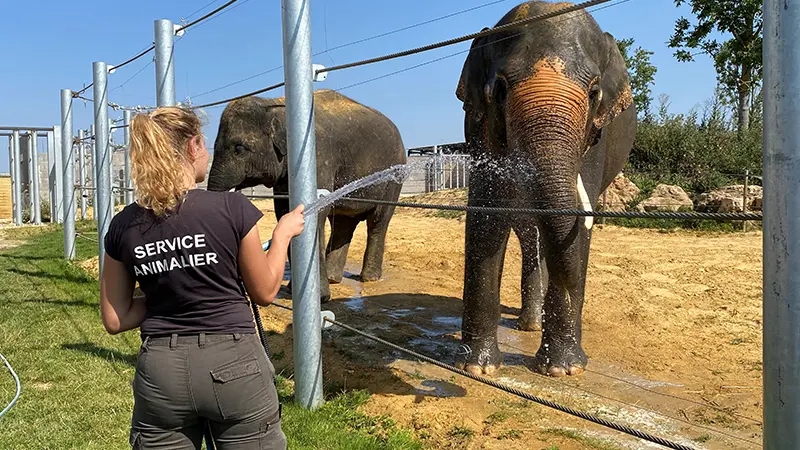 Travail des soigneurs La Tanière zoo refuge