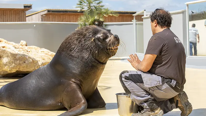 Gouter des animaux La Tanière zoo refuge