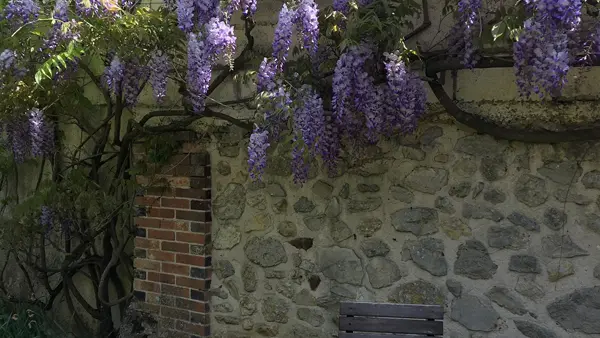 Appartement terrasse: jardin