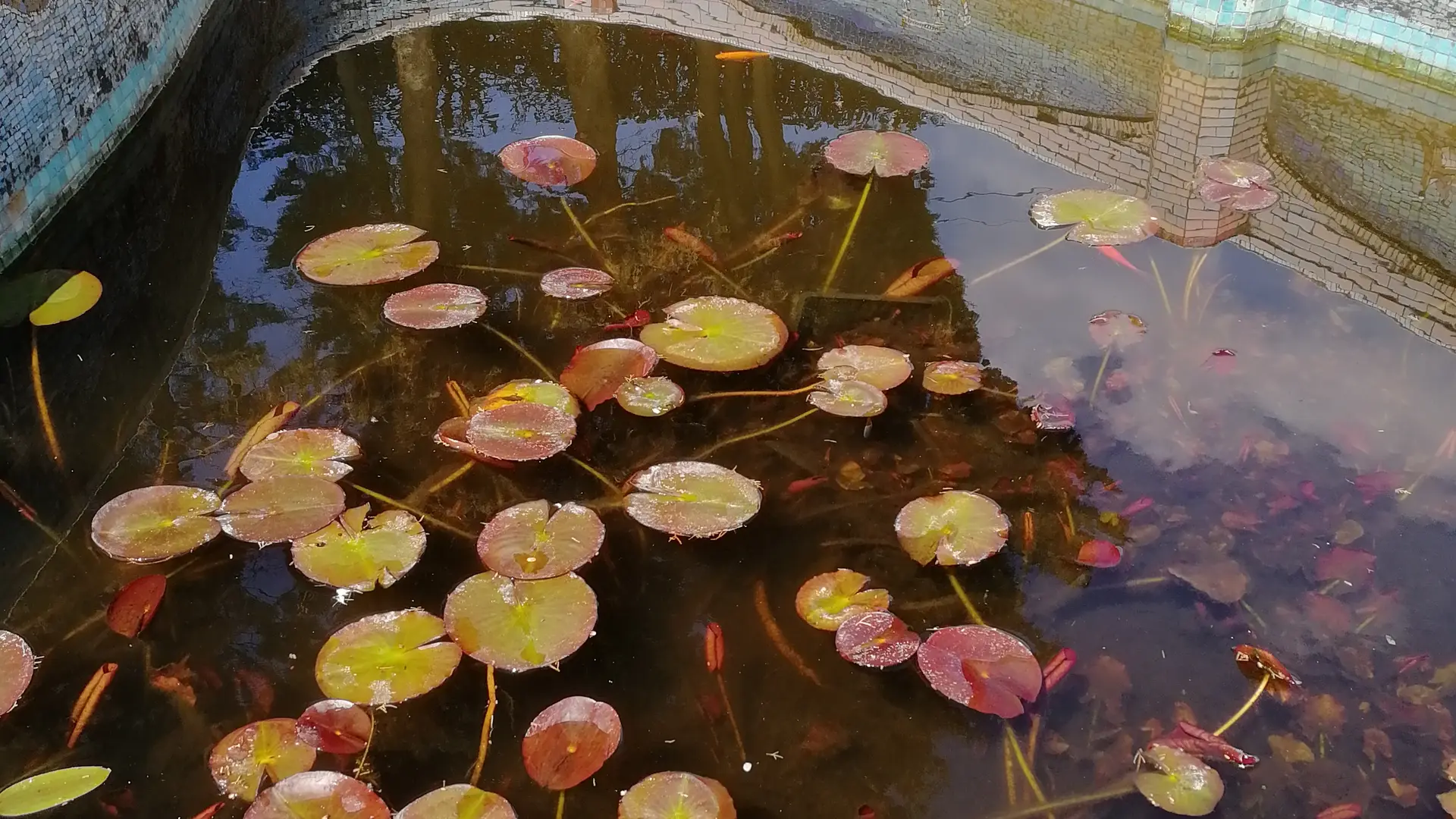 Jardins de la Feuilleraie