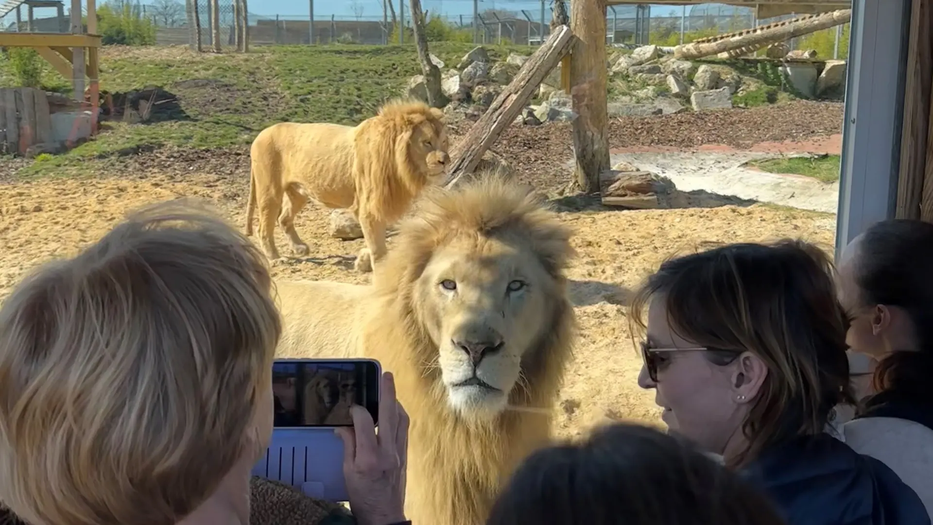 Rencontrez les pensionnaires du refuge La Tanière ©Sophie_Fernandes Petitot.jpeg