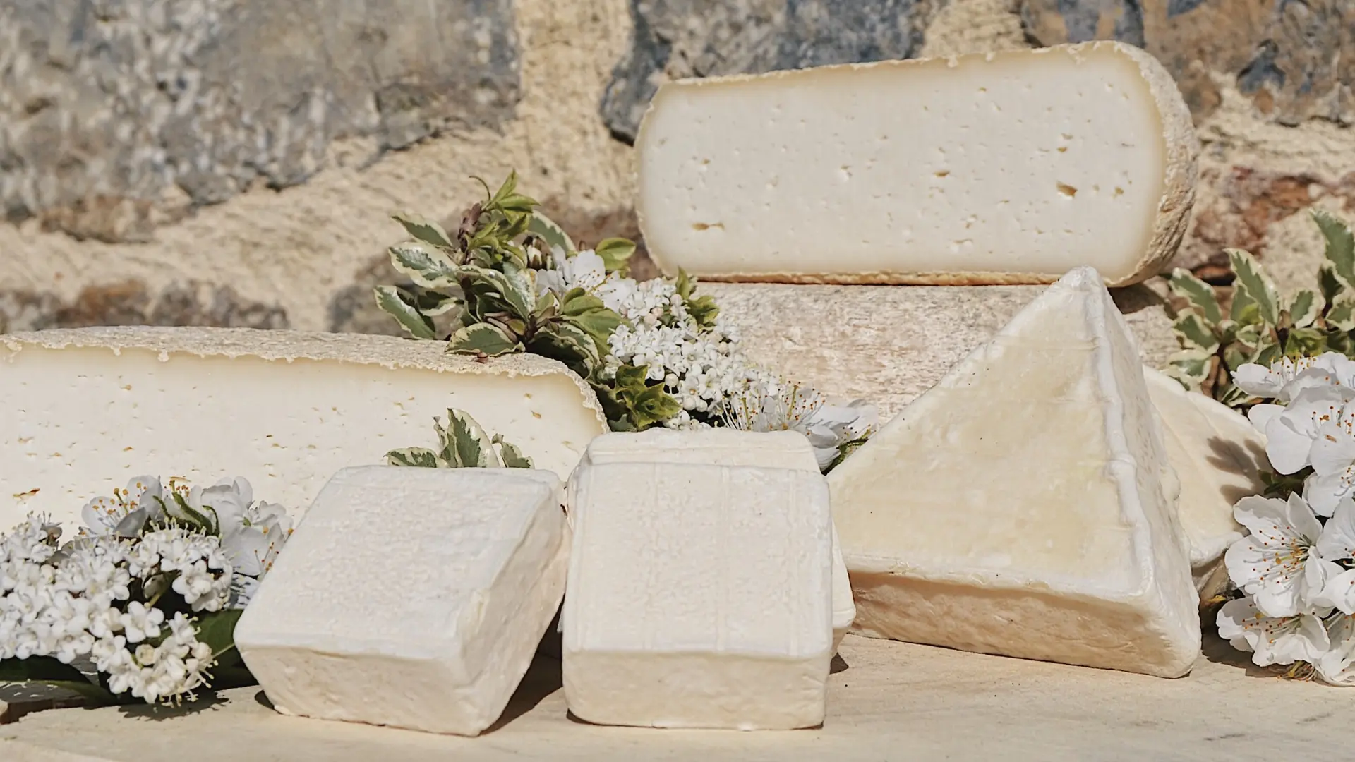 Plateau de fromages de brebis