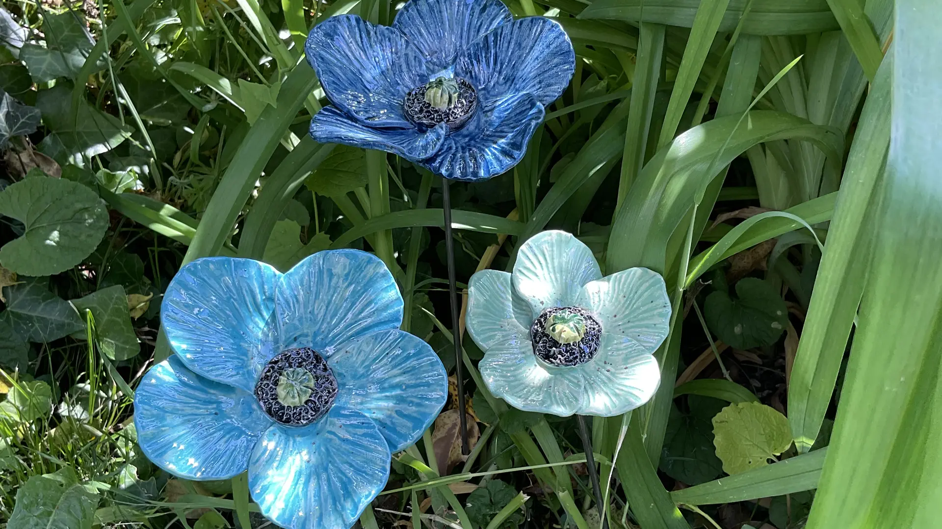 Fleurs déco jardin