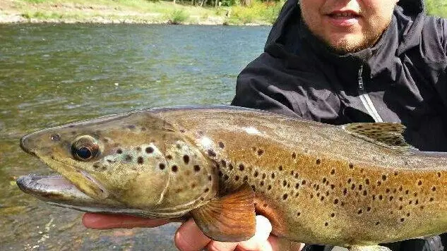 Bétaille - Guide pêche Mickael Andrieu