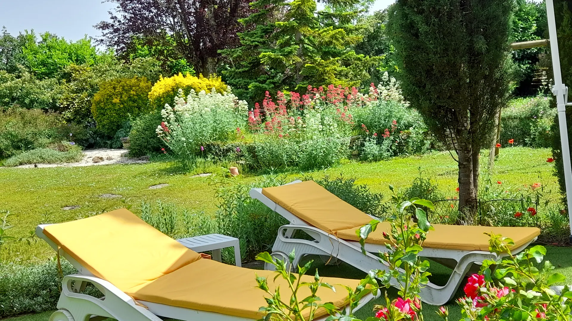 terrasse-piscine