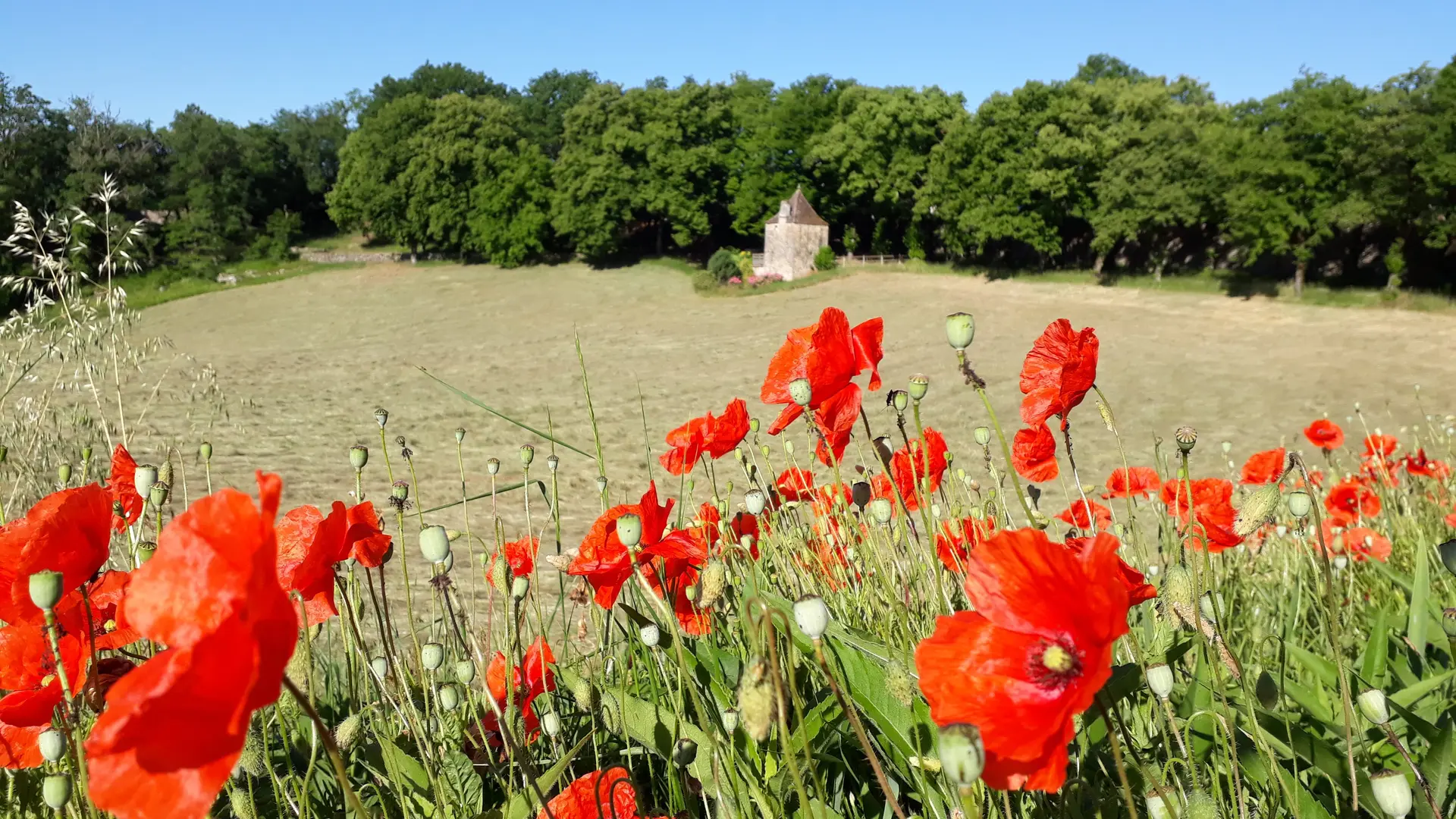 Parc du Grand Couvent