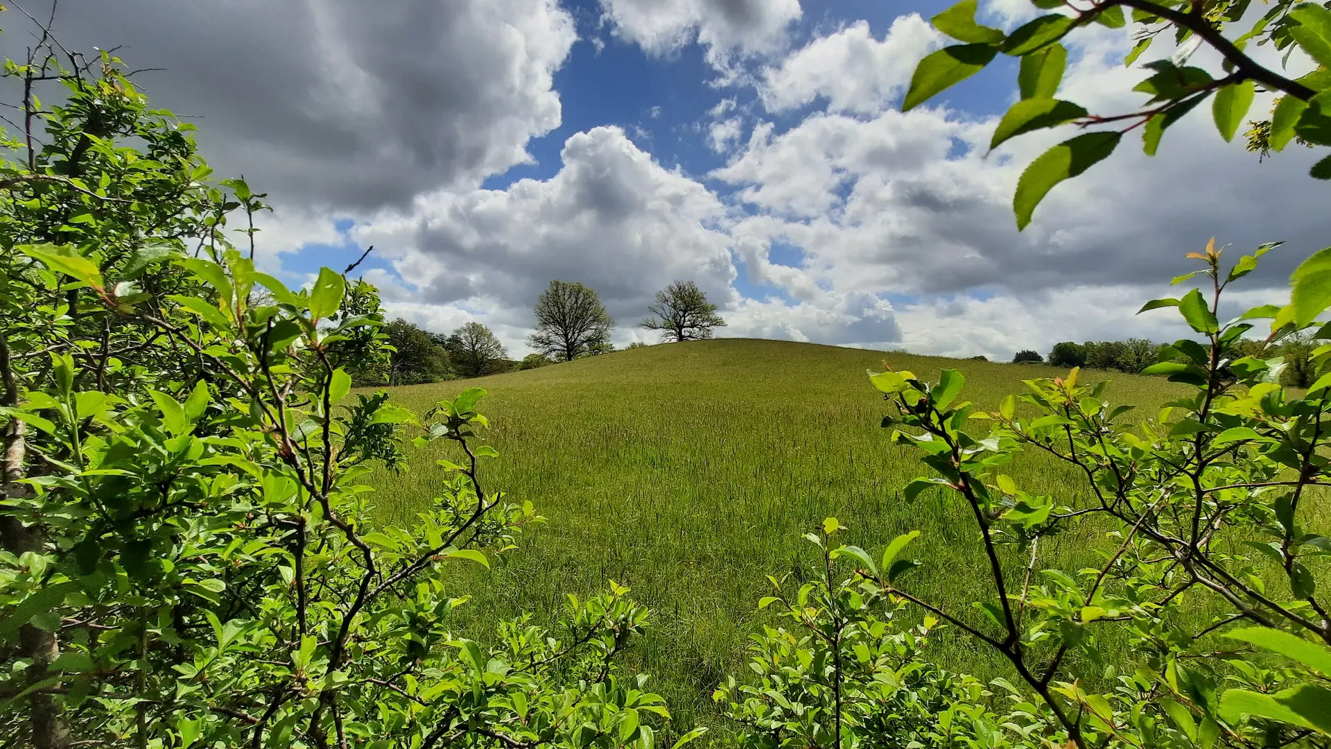 Le mont Pouget