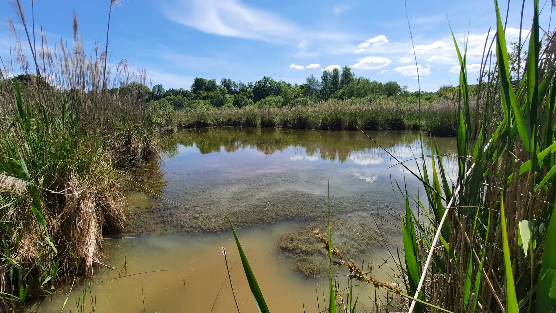 zone d'eaux libres