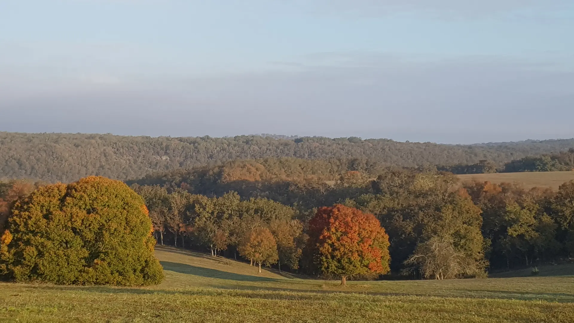 nature
