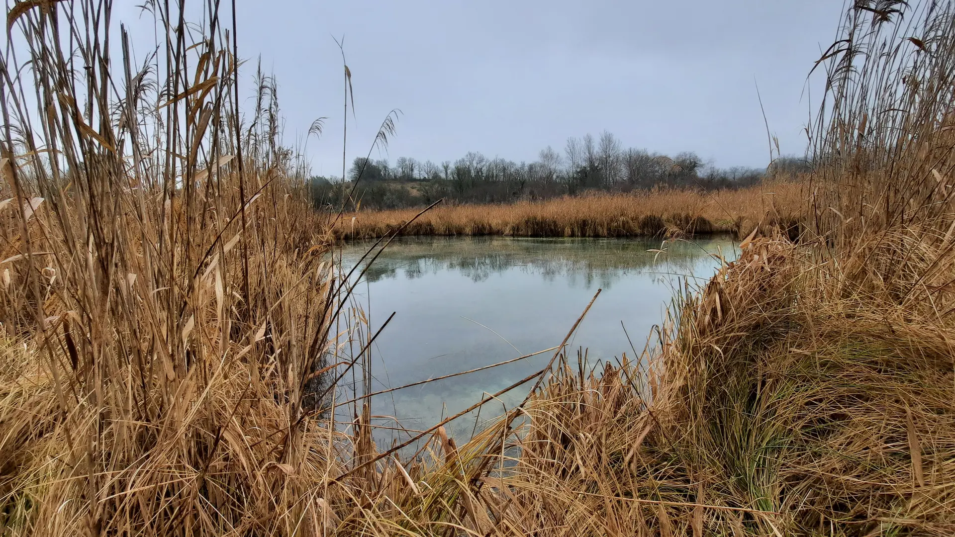 zone d'eaux libres