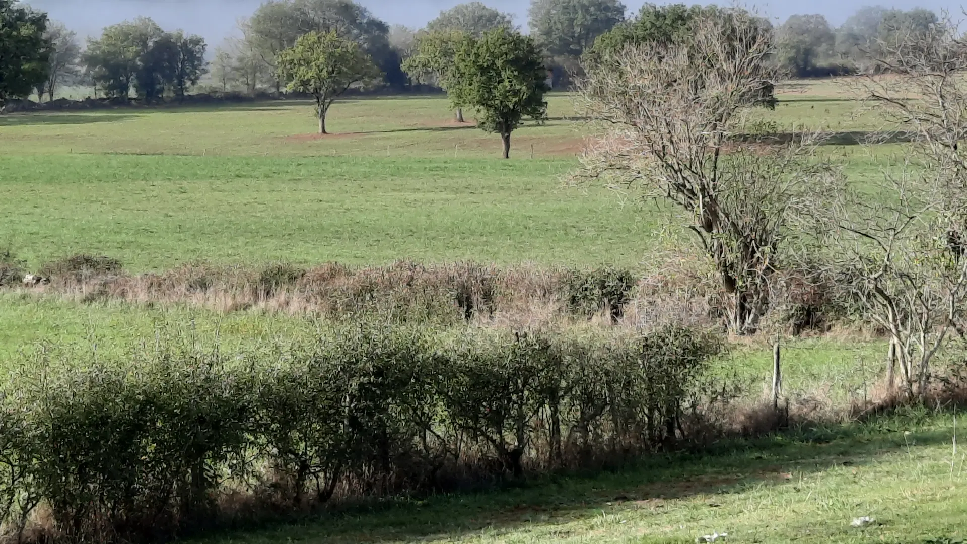 Le jardin : vue sur le causse