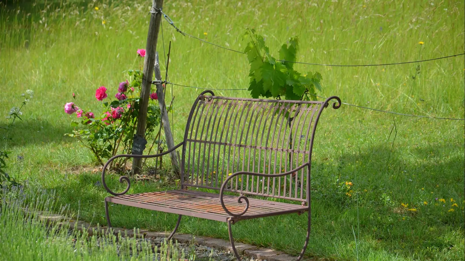 Gîte Rigoudau-Saint Denis les Martel-jardin