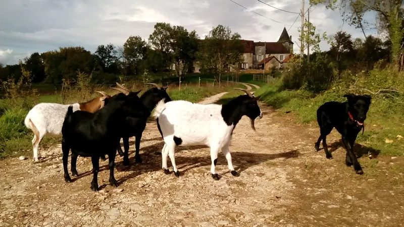 25 les tours de tersac