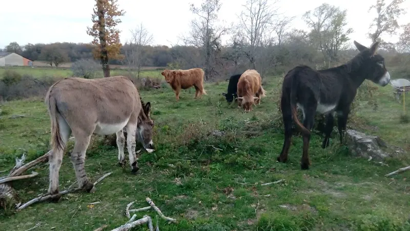 26 les tours de tersac