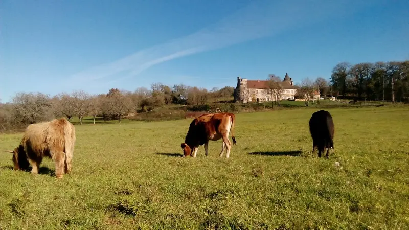 27 les tours de tersac