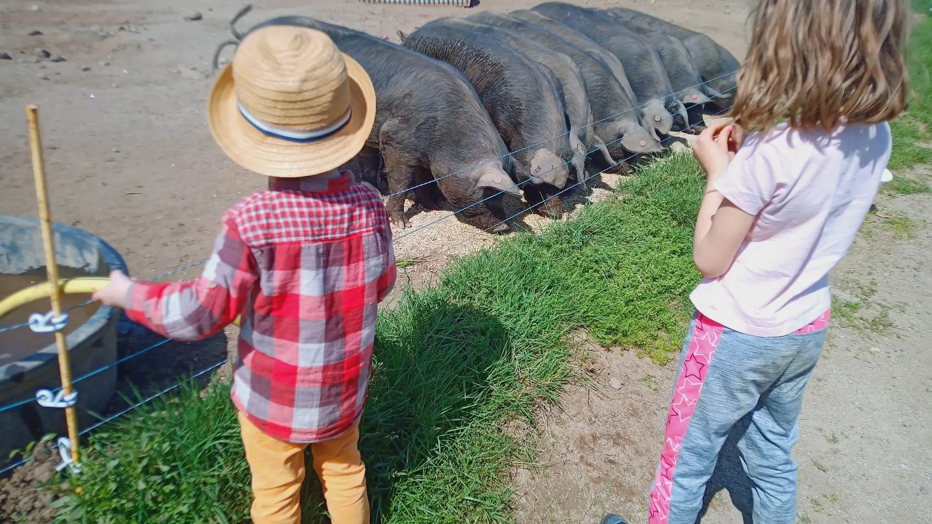 La ferme et les enfants