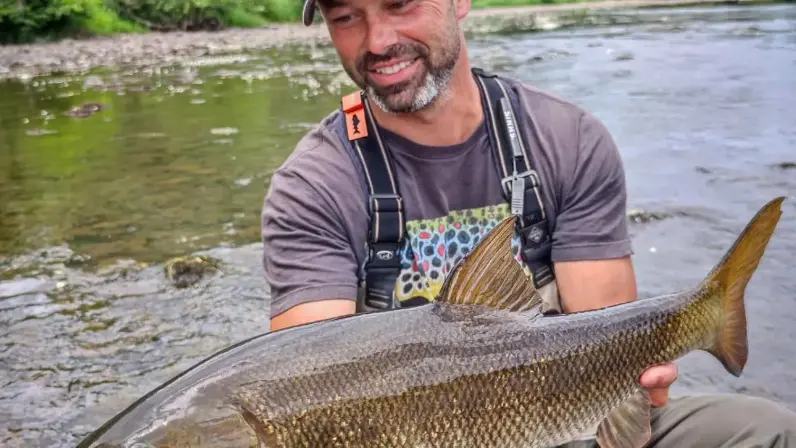 Dordogne-flyfishing-guide / Pêche du barbeau à la mouche