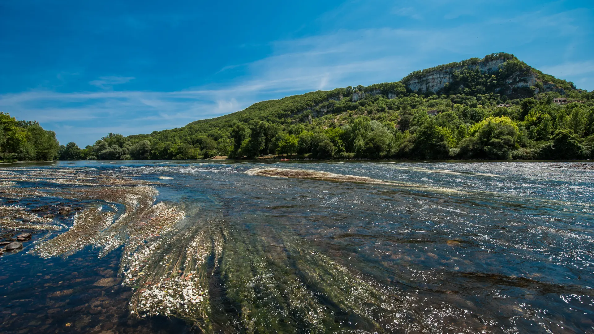 Baignade dans la Dordogne à Vayrac_08 © Lot Tourisme - C. ORY