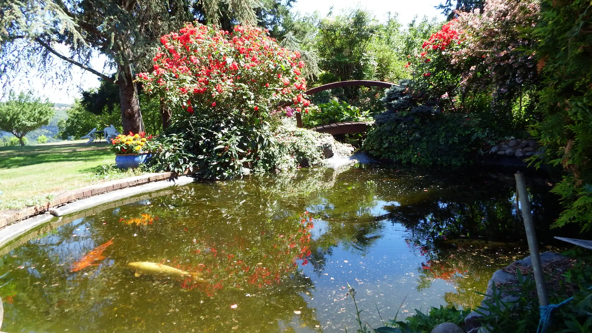 Ferme de Cabrejou-StDenisLesMartel-Bassin dans le jardin