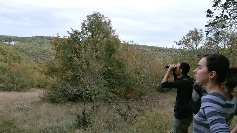 Observation de la faune