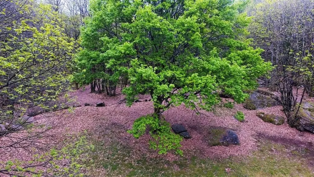 Cromlech