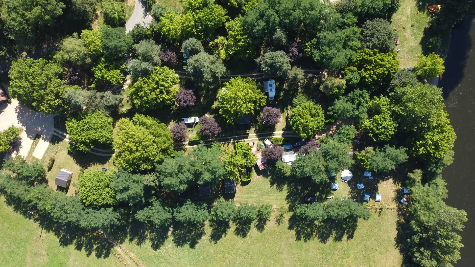 Camping sous les arbres