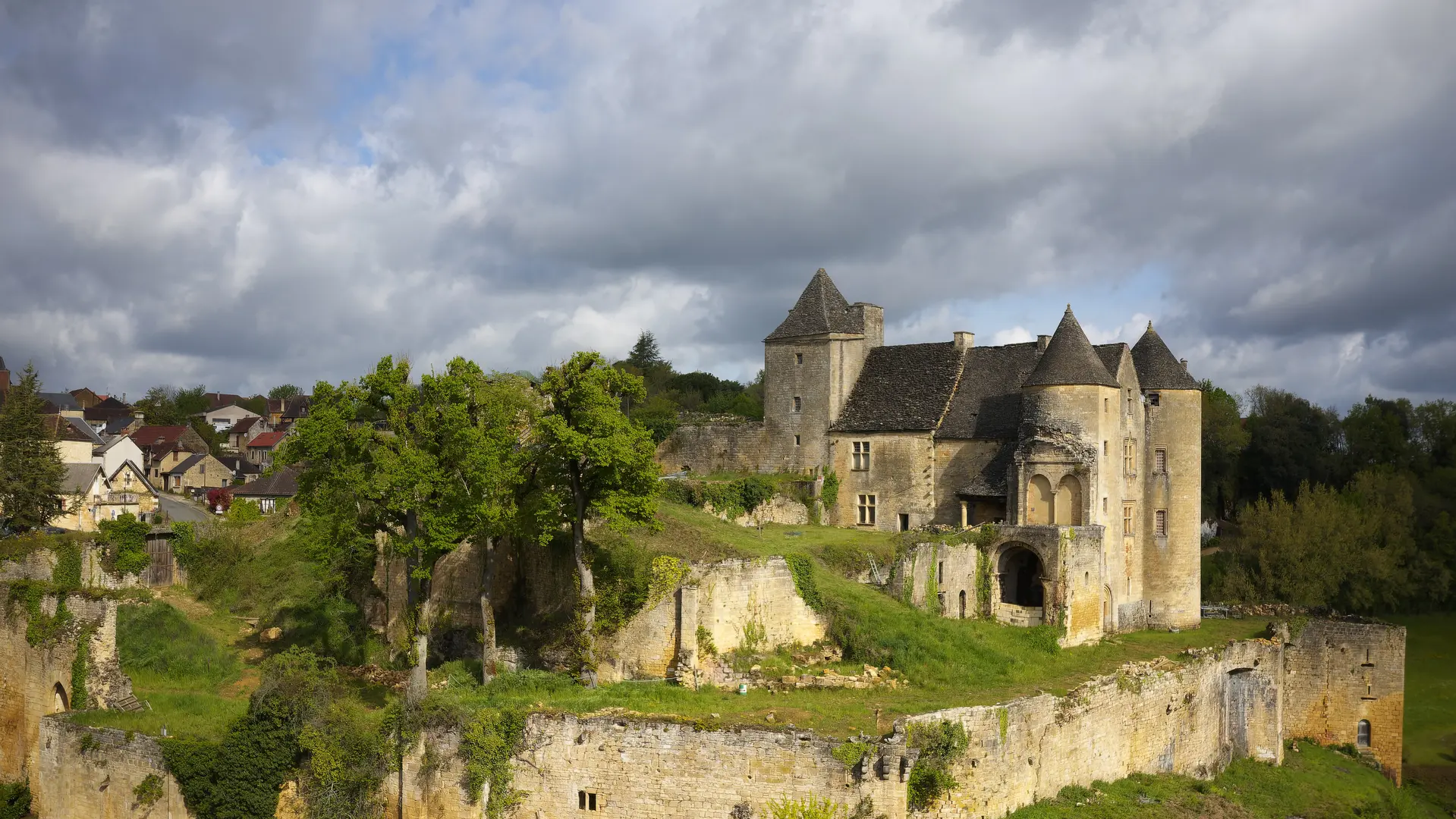 Vue générale Château de Salignac