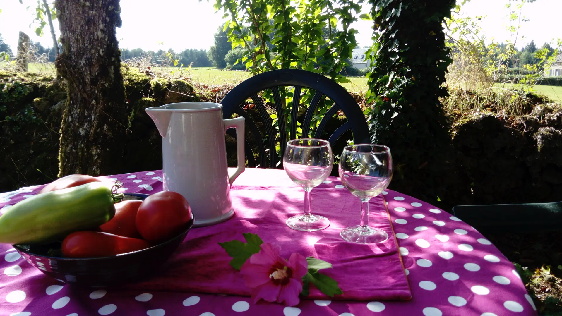 au jardin, à l'ombre du pommier.