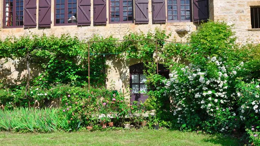 Facade et jardin