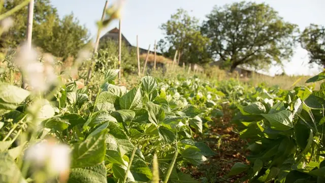 Le Domaine de Bel Air dans le jardin à Bel air