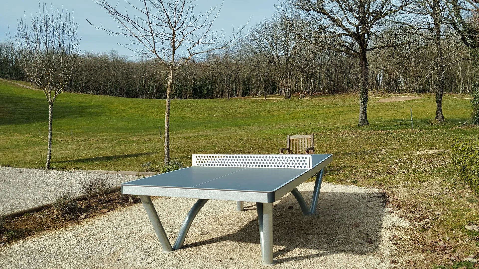 Table de ping pong (golf)