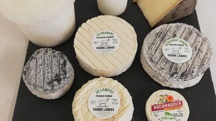 Gaec ferme landes_montvalent_Fromages