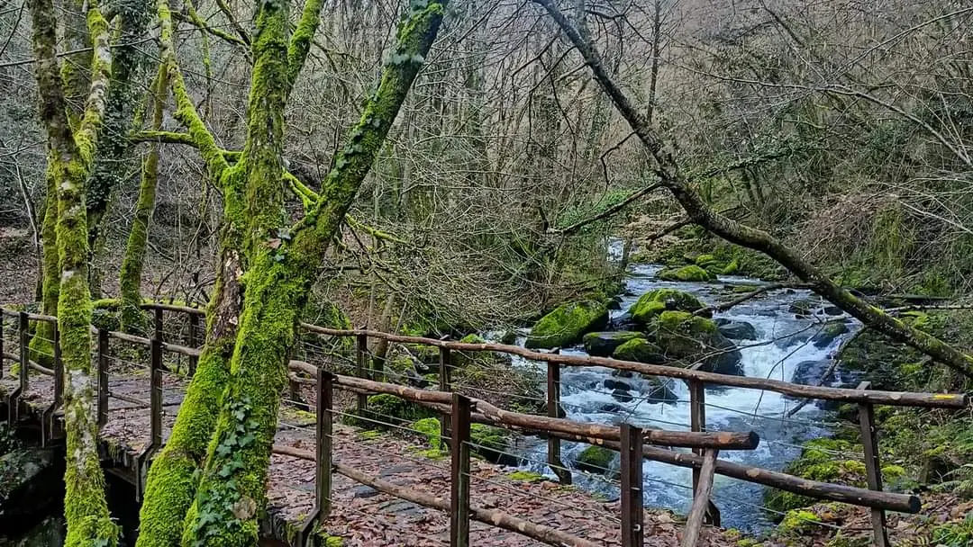 Petit pont de bois sur le sentier de Notre Dame de Verdale