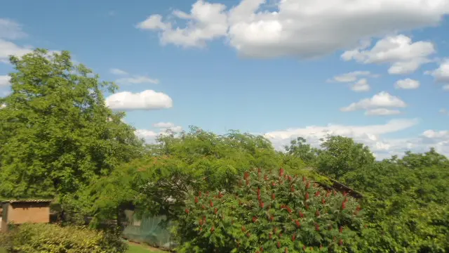 Gite du Clos - Branceilles -vue jardin