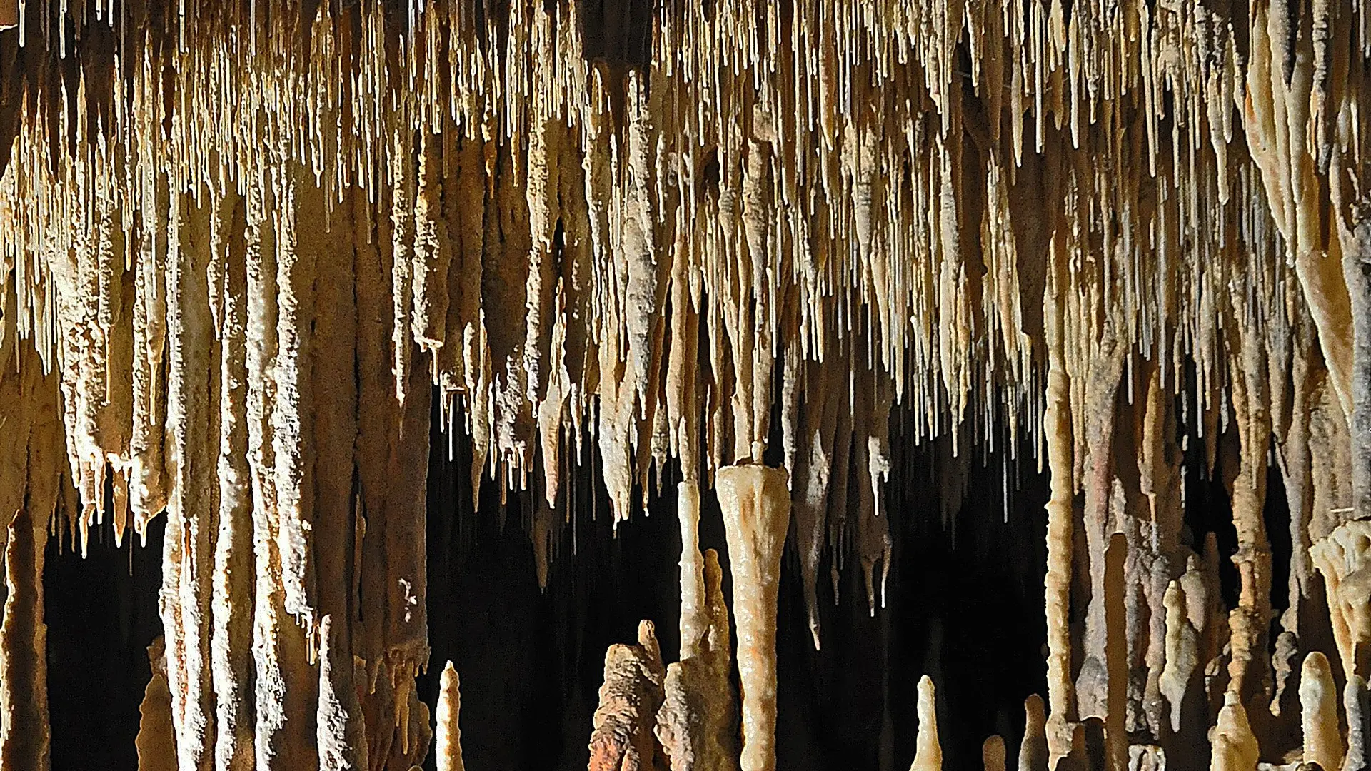 Grottes de cougnac - Gourdon - concretions multiples