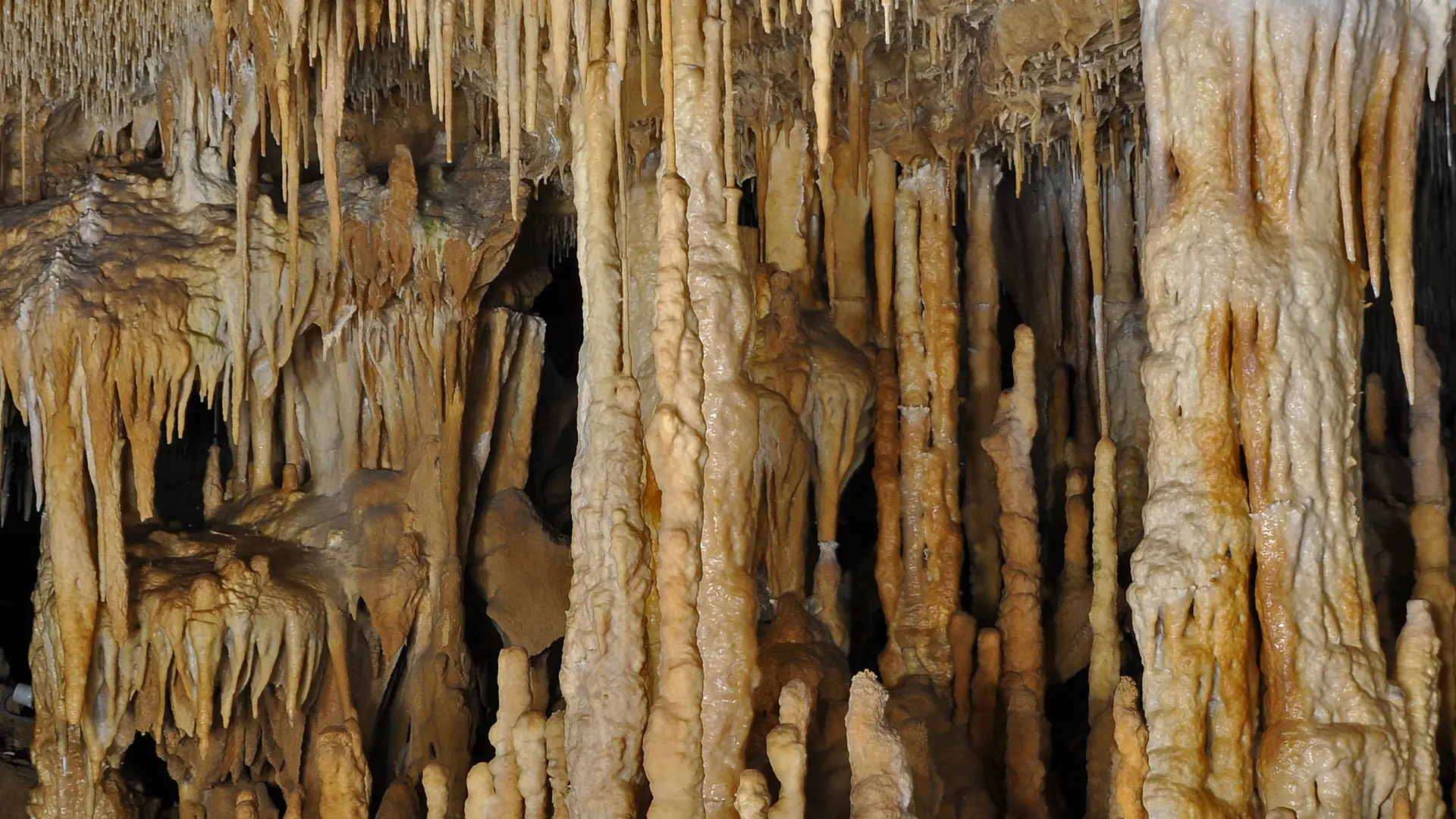 Grottes de cougnac - Gourdon - concretions