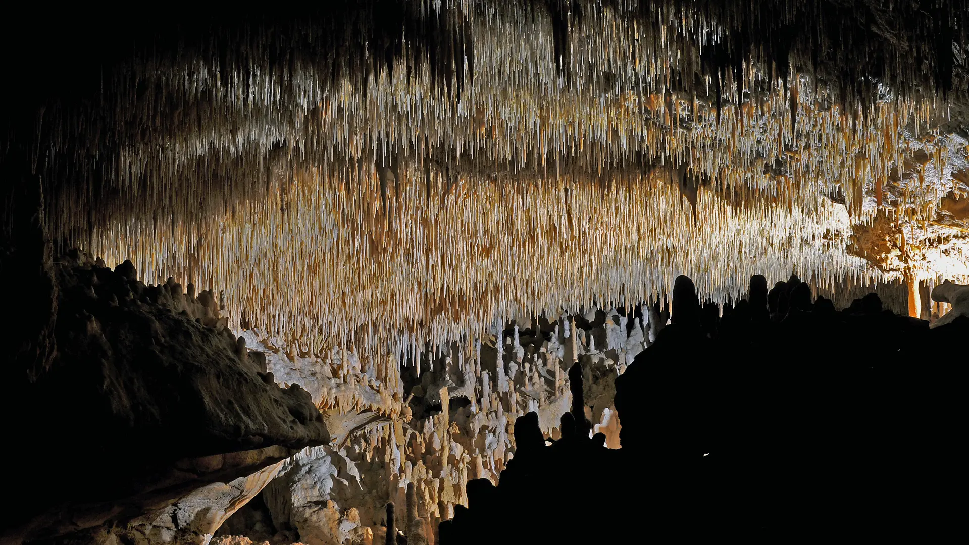 Grottes de cougnac - Gourdon - plafond concretions